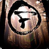 Fire In The Skies : Dreamer